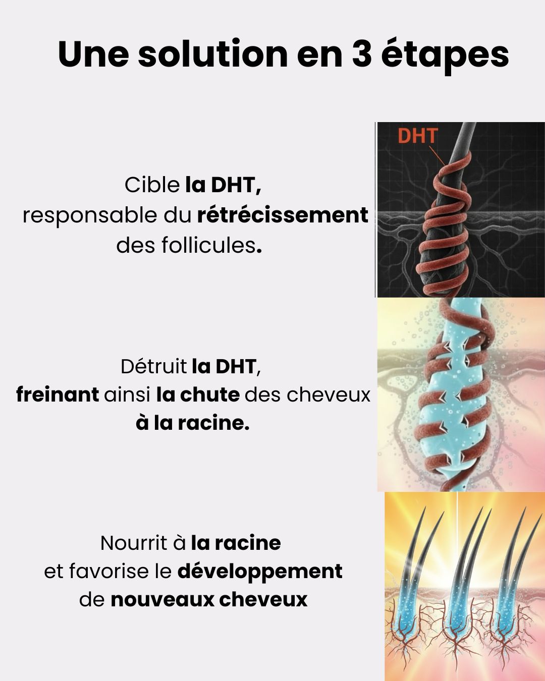 Solution Capillaire Antichute & Repousse