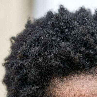 Pousse visible accélérée